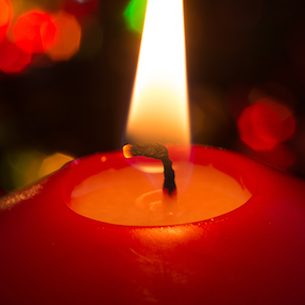 Photo de Madame Michèle AUDOLI