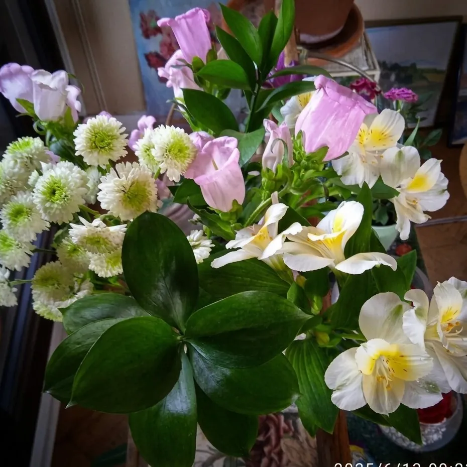 Photo d’Elisabeth Marie BARDIER